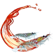 Symbolische orange Welle für Krillöl mit darin schwimmenden Krillen